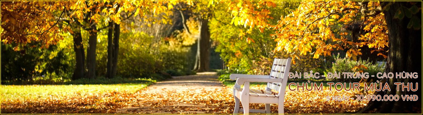 Tour Du Thuyền 5 Sao Đẳng Cấp