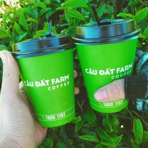 Tour Du Thuyền 5 Sao Đẳng Cấp