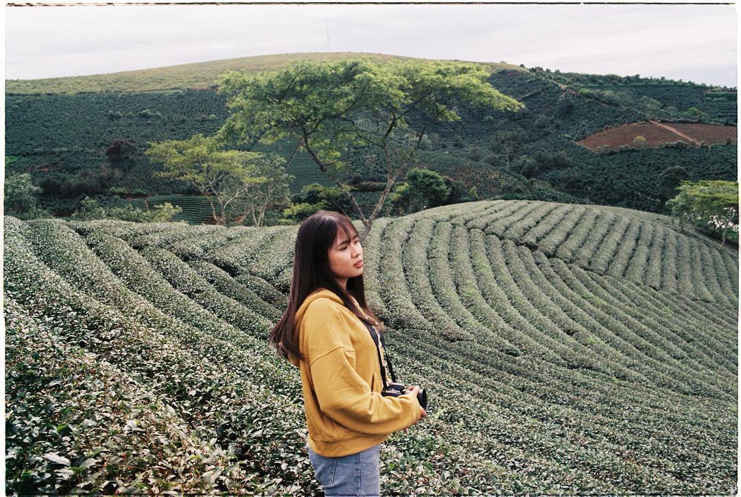 Tour Du Thuyền 5 Sao Đẳng Cấp