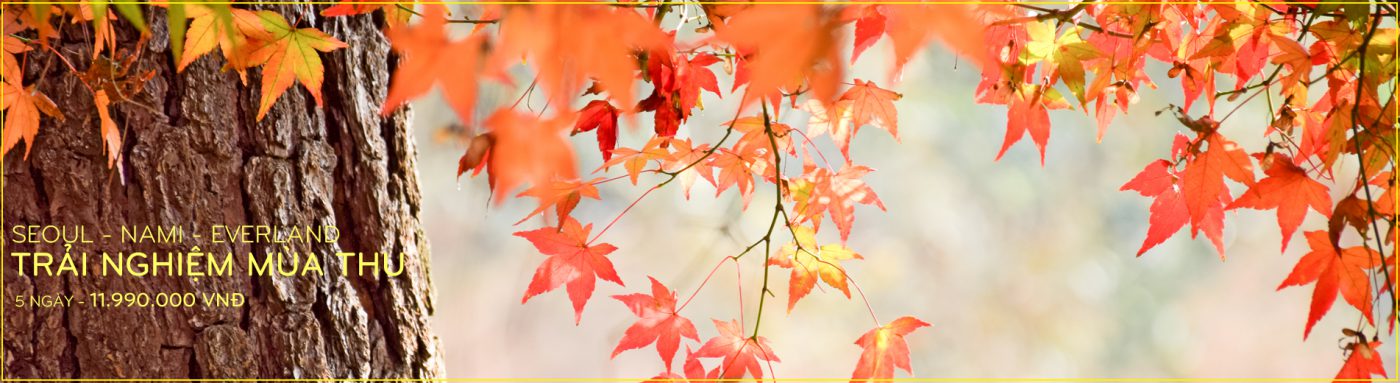 Tour Du Thuyền 5 Sao Đẳng Cấp