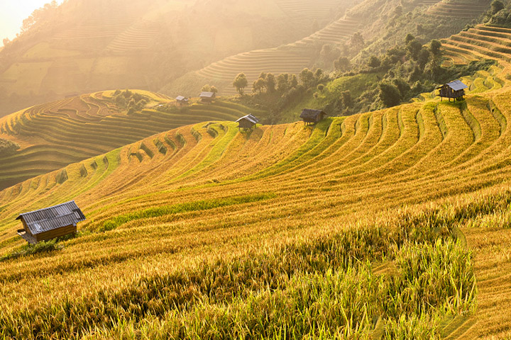 Tour Du Thuyền 5 Sao Đẳng Cấp