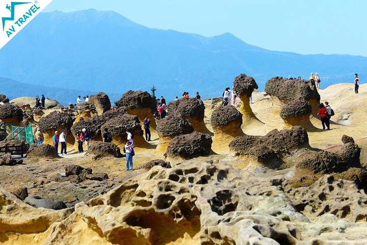 Tour Du Thuyền 5 Sao Đẳng Cấp