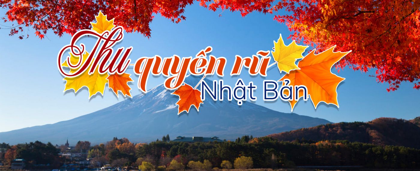 Tour Du Thuyền 5 Sao Đẳng Cấp