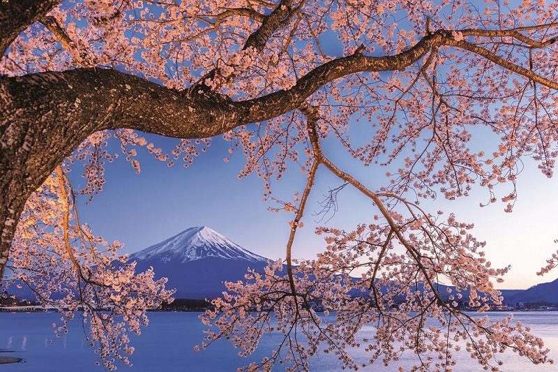 Khám phá Phú Sĩ Ngũ Hồ ở chân núi phía bắc của Núi Phú Sĩ, nơi bạn sẽ tìm thấy suối nước nóng, hoạt động giải trí ngoài trời và quang cảnh đầy cảm hứng