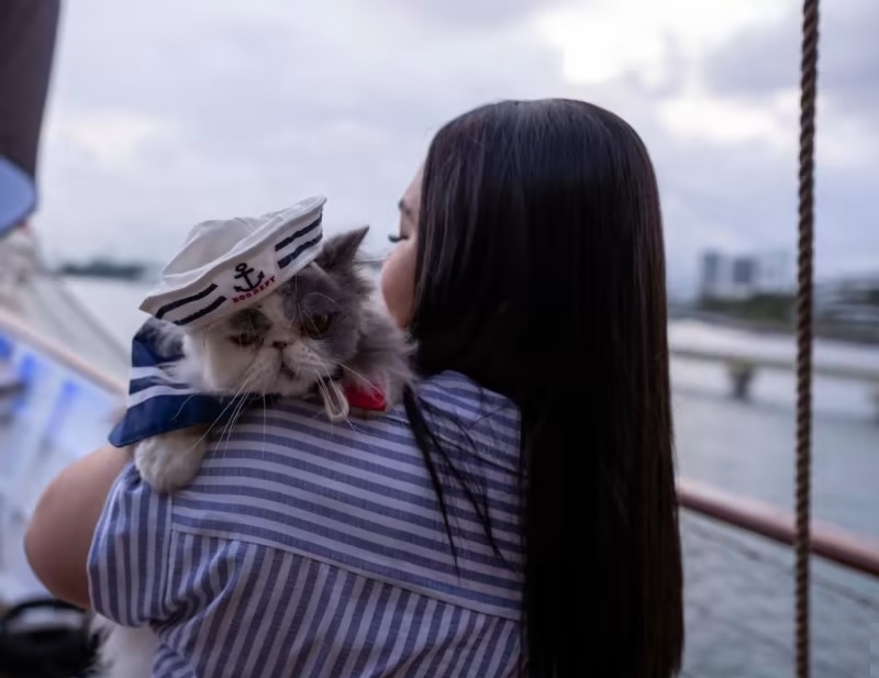 Tôi đã đi tour du thuyền mèo ở Singapore và đã có một khoảng thời gian vui vẻ 'tuyệt vời'