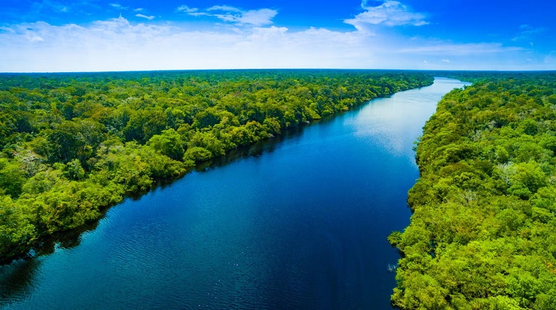 Lưu vực sông Amazon có diện tích khoảng 2,7 triệu dặm vuông