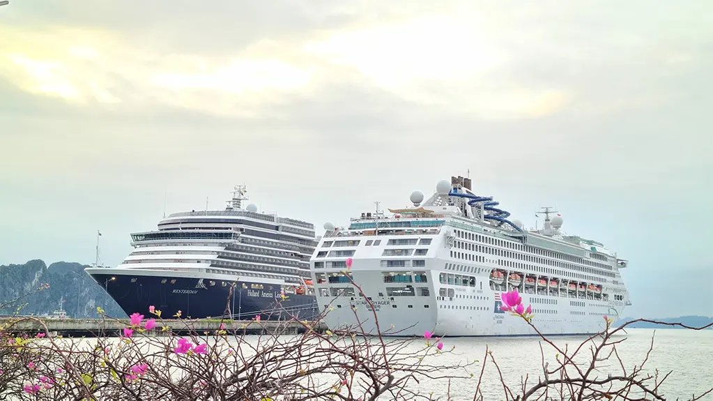 Hạ Long đón hơn 3.100 khách quốc tế từ 2 siêu du thuyền